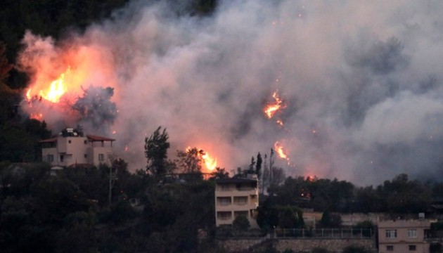 Hatay'da orman yangını